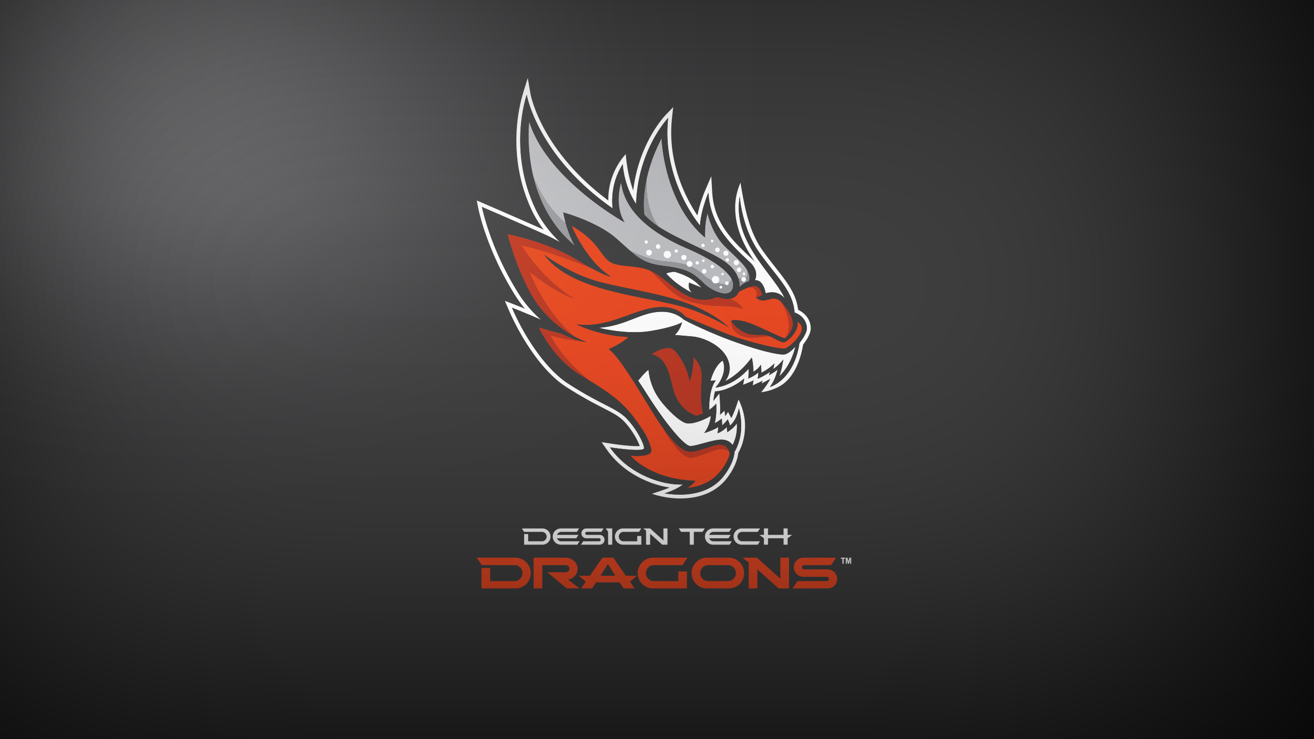 Design Tech Dragons Brand Identity