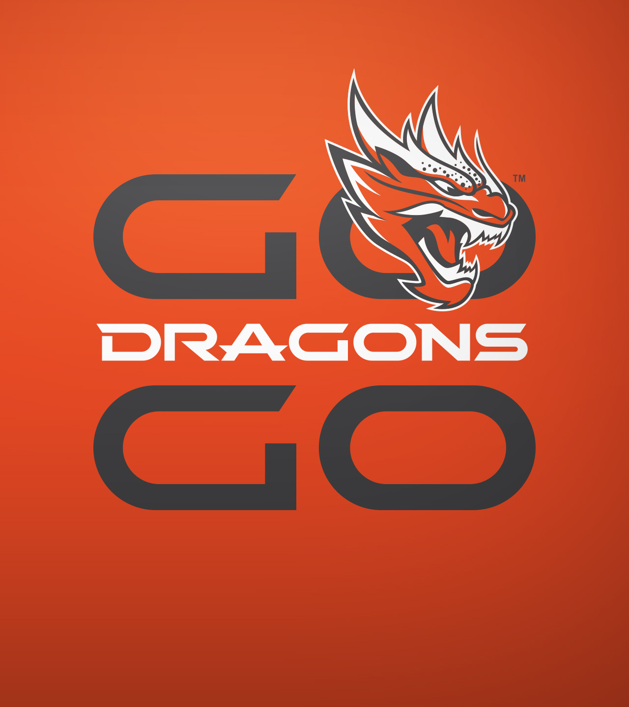 Go Dragons Go